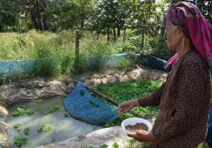 Viejos y nuevos retos de las familias campesinas en Camboya - Foto Patricia Garrido - Manos Unidas