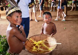 Primeras reflexiones sobre "Querida Amazonía" desde España y desde Colombia.