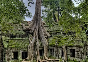 Paisaje de Camboya