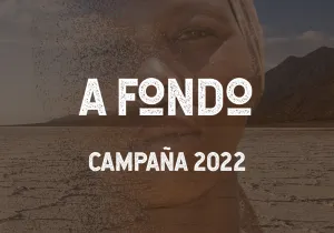 Materiales Campaña 2022 - Informe A Fondo