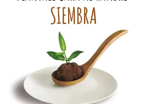 Plántale cara al hambre: siembra #ManosUnidasSiembra
