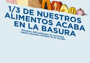 1/3 de nuestros alimentos acaba en la basura