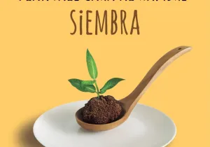 Cartel ganador Premio Manos Unidas de Carteles. Autora:Teresa Calbó
