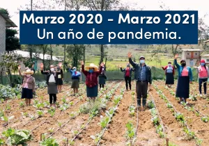 Coronavirus: un año de pandemia. Foto: Escaes (Perú) para Manos Unidas 