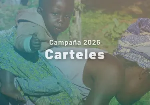 Campaña 2026 - Carteles
