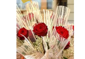 Diada de Sant Jordi