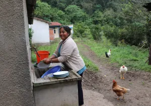 Seguridad y soberanía alimentaria mediante agricultura sostenible