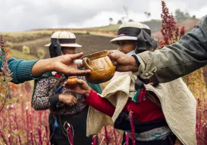 Ecuador - Economía social y solidaria - Manos Unidas - Foto Josep Vecino