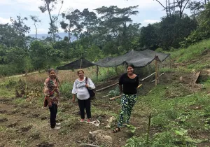 Seguridad alimentaria para defensa y permanencia de los campesinos en sus territorios. Foto: Manos Unidas