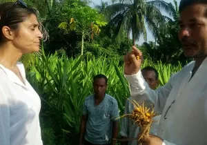 Viaje a la India