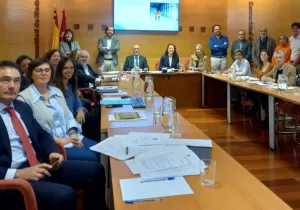 Manos Unidas Madrid en el Consejo de Cooperación de la Comunidad de Madrid