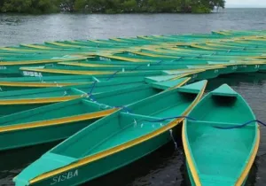 Imagen de las 50 barcas que se entregaron a la comunidad