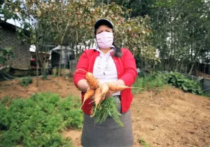 Cutervo, Perú - Foto ESCAES Manos Unidas - Alimentación, hambre, pobreza