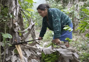 Día Internacional de las Mujeres Rurales 2022 (15 de octubre)