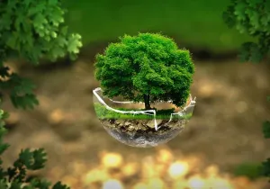 Día Mundial del Medio Ambiente 2021 (Foto de thommas68)