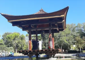 Dia Internacional de la Paz 2022 en Alcobendas
