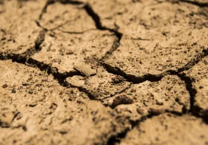 Tierra seca y agrietada