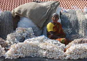 Anciana junto a redes con conchas en Kanyakumari en el estado de Tamil Nadu, en India. Foto: Manos Unidas/Campaña