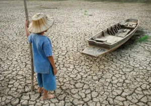 Exposición del Agua