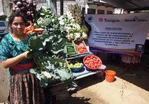 Proyecto de cooperación con el Ayuntamiento de Tarragona