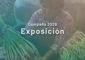 Campaña 2026 - Exposición