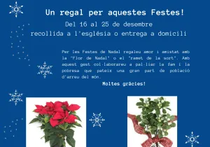 Campaña "La Flor de Nadal"