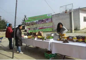 Proyecto agroecológico Tlaxcala Mexico