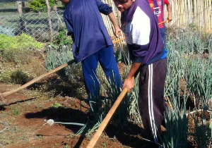 Millones de personas viven de la agricultura. En la imagen idígenas Mbyes Guaraníes en Paso Yobái-Paraguay. Foto Marta Isabel González-Manos Unidas