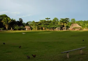 Violencia y deforestación en la Amazonía peruana - Instituto del Bien Común - Manos Unidas