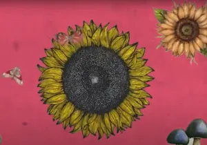 Ganadores de Clipmetrajes, categoría General: vídeos que intentan cambiar actitudes