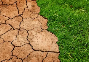 Cumbre sobre el Clima de las Naciones Unidas