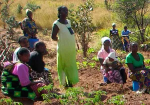 Huertos comunitarios en Kilela Balanda