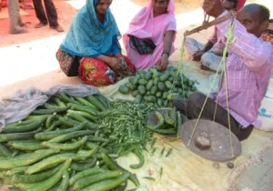 Campesinos de Sipahijala y Gomati