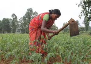 Mejora de la situación socio-económica de las mujeres sin casta del distrito de Ballía, India