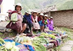 Fortalecimiento de la base productiva y gestión de las organizaciones social. Boliviaes