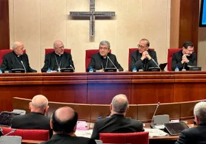 Ante la presentación de Manos Unidas en la 126º Asamblea Plenaria de la Conferencia Episcopal Española (CEE)