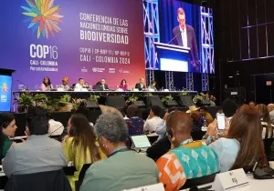 Conferencia de las Naciones Unidas sobre Biodiversidad. Fotografía: UN Biodiversity | COP16