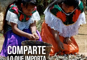 Manos Unidas considera inaceptable el hambre en el mundo 