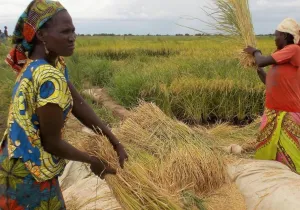 Chad - Foto Belacd–Cáritas de Lai