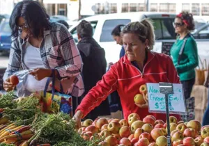 La agroecología es un concepto multidimensional que afecta al: medio ambiente, aspectos socioculturales, y cuestiones económicas y políticas.. FOTO CIDSE