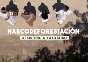 Manos Unidas ONG - El narcotráfico y la deforestación ponen en jaque a los Kakataibo