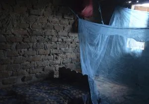 Manos Unidas - Día Mundial del Paludismo 2024 (25 de abril) - Una red antimosquitos cubre una ventana - Imagen: Uganda | Myriam Sagastizabal