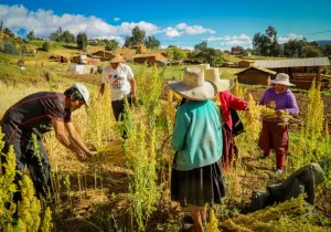 Manos Unidas - Dos programas para impulsar la calidad de vida en Perú y Ecuador - Imagen: CEDEPAS Norte