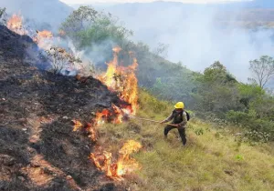 Foto de los incendios que arrasaron Bolivia en agosto, obtenida de la web del Gobierno andino