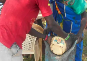 Sudan del Sur