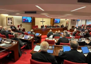 Intervención de la Presidenta de Manos Unidas, Cecilia Pilar, ante la Asamblea Plenaria de la Conferencia Episcopal Española.