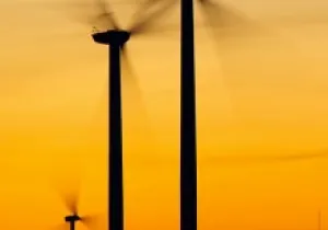El paradigma tecnocrático, foco del último punto del Decálogo Verde de la campaña "si cuidas el planeta, combates la pobreza"