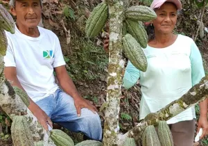 Ana y Lorenzo - Cultivo de cacao - Foto Fundación Maquita, Ecuador