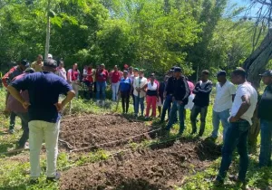 Agroecología para una vida digna: 37 comunidades rurales luchan contra el hambre en República Dominicana  