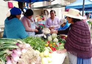  Fortaleciendo el desarrollo productivo sostenible, para una soberanía alimentaria, en los municipios de Acasio y Arampampa del Norte de Potosí